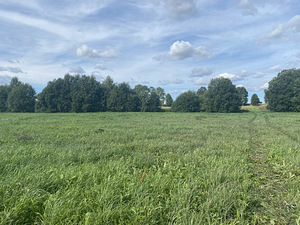 Müüa suur maatulundusmaa Jõgeva maakonnas (6 foto / 6)