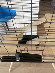 Suur must näriliste puur (1 foto / 4)