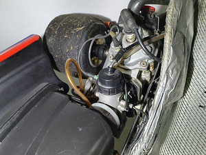 Kart Zanardi Rotax DD2 (4 foto / 10)