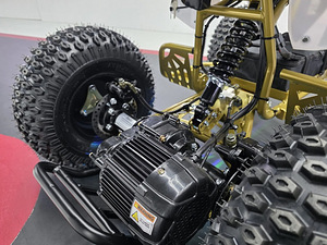 ELEKTRILINE ATV PHANTOM GOLD, 35 km/h (4 foto / 5)