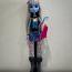 Кукла Monster High - Abbey Bominable Picture Day (фото #1)