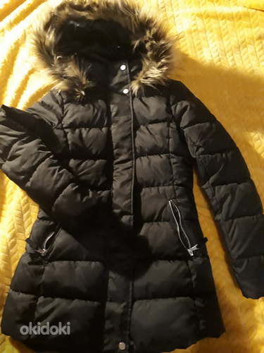 Talvejope/зимняя куртка (фото #1)