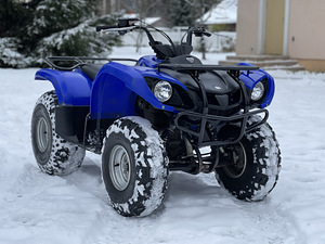 Yamaha Grizzly 125 (1 foto / 9)