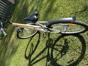Bicycle Lady Sport Classic (4 foto / 10)
