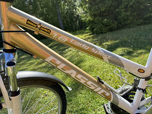 Bicycle Lady Sport Classic (5 foto / 10)