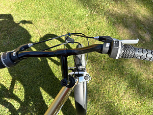 Bicycle Lady Sport Classic (9 foto / 10)