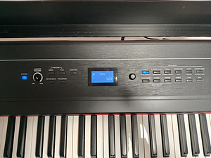 Digiklaver Alesis Recital PRO + M-Audio SP-2 pedaal + stativ (3 foto / 8)