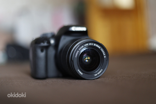 Canon EOS 550D (фото #1)