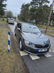 Skoda octavia 2018 (3 foto / 12)