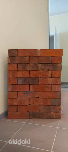 Elva brick (foto #3)