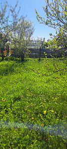 ПРОДАМ ОГОРОДНЫЙ УЧАСТОК (6 foto / 9)