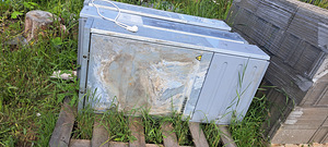 Elektrikilp (2 foto / 4)