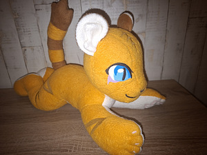 Kaisukas tiiger (5 foto / 5)