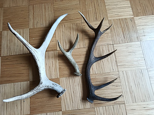 Materjal suveniiride valmistamiseks (kõige hind) (2 foto / 2)