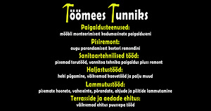 Töömees tunniks (1 foto / 1)