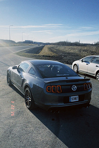 Ford Mustang Shelby edition (3 foto / 6)