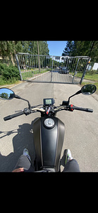 Benelli Leoncino 250 (1 foto / 6)