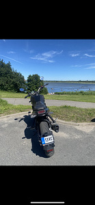 Benelli Leoncino 250 (5 foto / 6)