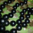 Pärlitest kaelakee kõrgkvaliteetne, must pärl. Uus (foto #2)