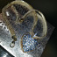 Ожерелье, кулон с цепочкой ,с кристаллами Сваровски, новое (фото #1)