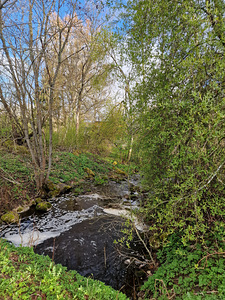 3-toalised korter Jõgeva rajoon (3 foto / 7)