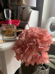 Viva La Juicy jääk 100 ml-st (2 foto / 4)