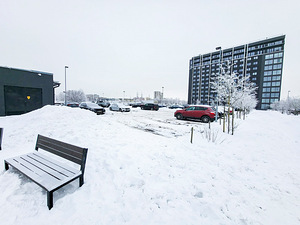 Mustakivi tee 25, Lasnamäe, Tallinn, Harjumaa (40 foto / 46)