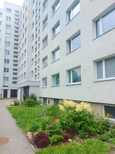 Arbu tn, Lasnamäe, Tallinn, Harjumaa (17 foto / 17)