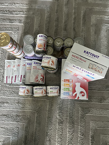 Müügil neeruprobleemidega kasside toit (2 foto / 2)
