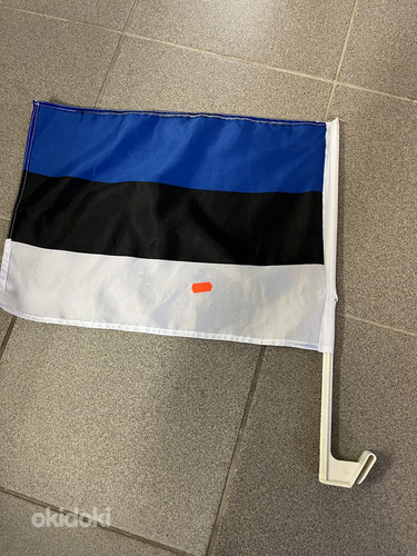 Eesti lipp (foto #2)