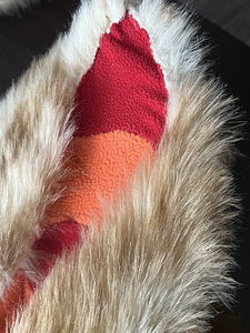Furry (4 foto / 7)