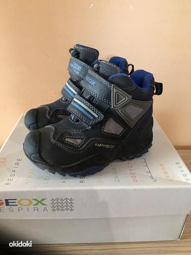Geox k/s saapad, suurus 24
