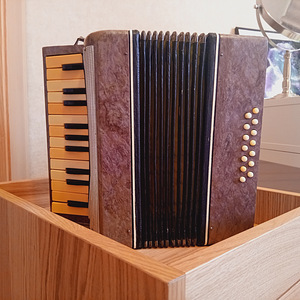 Akordion "Malõš", 1970–1980ndad (6 foto / 7)