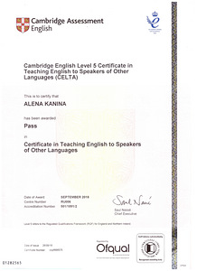 English teacher for adults (1 foto / 1)