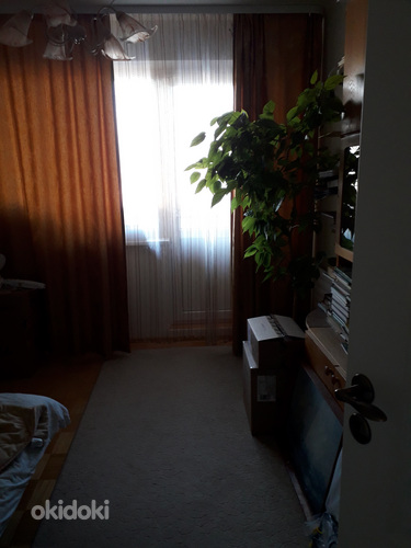 Теплая и светлая 3 комнатная квартира с открытым видом. (фото #9)