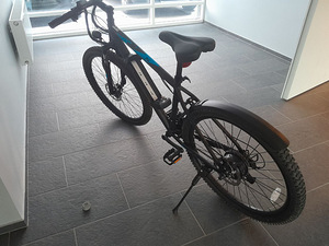 Elektriline jalgratas Huffy Transic+, 250W (6 foto / 6)