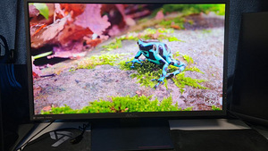Монитор Asus MG279Q 27" 2560x1440 IPS 144hz FreeSync (1 фото из 1)