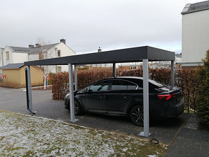 Autovarjualused (5 foto / 9)