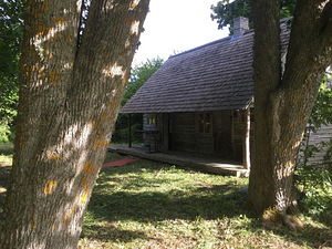 Hoidjametsa, Vilsandi, Saaremaa vald, Saaremaa (1 foto / 10)
