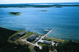 Hoidjametsa, Vilsandi, Saaremaa vald, Saaremaa (6 foto / 10)