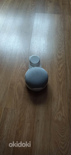 Google Home Mini