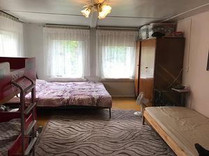 Külavahe tee, Remniku, Alutaguse vald, Ida-Virumaa (8 foto / 9)