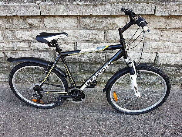Mägijalgratas Classic Discovery 2.3