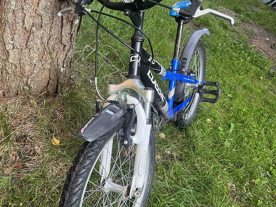 Laste jalgratas 20"