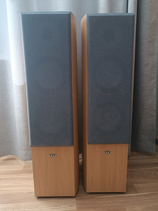 Pioneer+ Eltax (5 фото из 7)