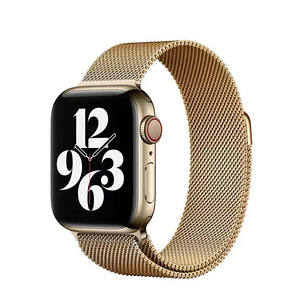 Регулируемый ремешок для часов Apple (1 фото из 1)