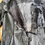Müüa ARMA lambanahkne mantel. suurus 38-40 (foto #2)