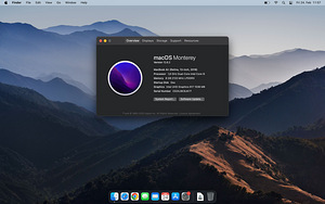 Apple Macbook Air 2018 sülearvuti (5 foto / 5)