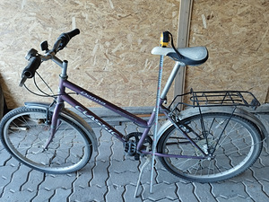 Tüdrukute ratas. (1 foto / 5)