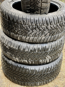 Шины Dunlop R19 (5 фото из 5)